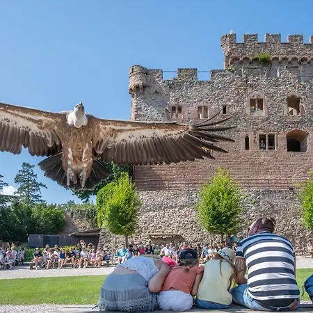 Endes Dreiseithof - * Schliengen